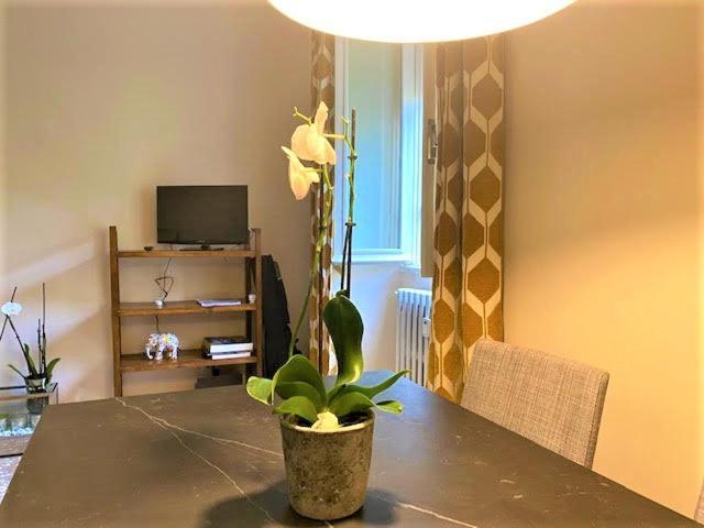 Duchi Di Castro Chic Apartment Rome Bagian luar foto